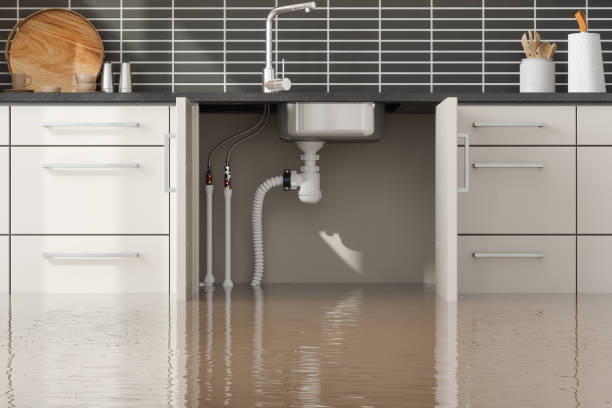Best Water damage restoration experts  in Larksville, PA