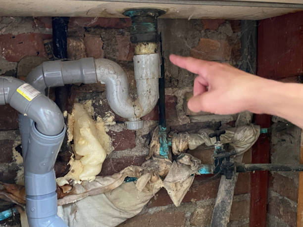 Best 24-hour water damage restoration  in Larksville, PA